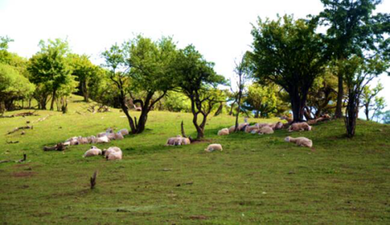 博天堂(918)官方网站 - 让你更精彩