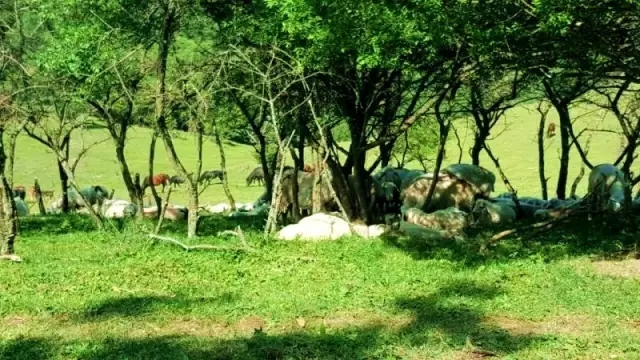 博天堂(918)官方网站 - 让你更精彩