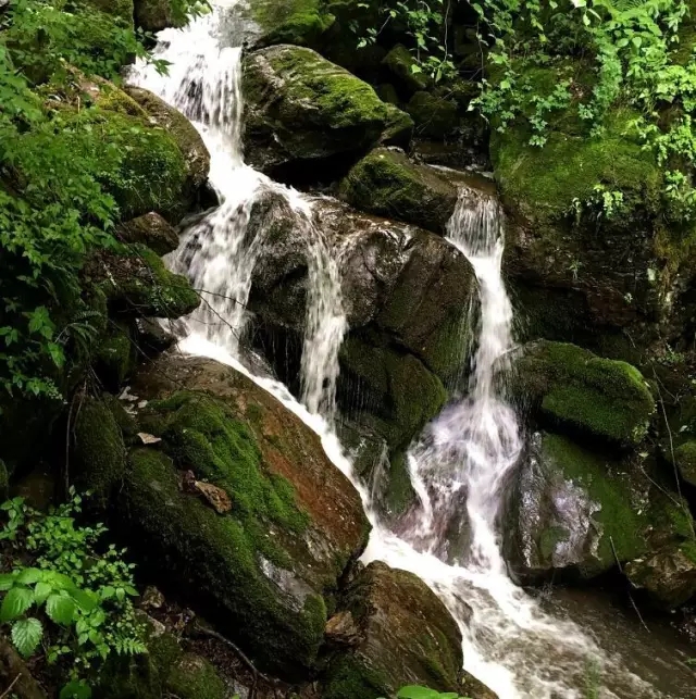 博天堂(918)官方网站 - 让你更精彩