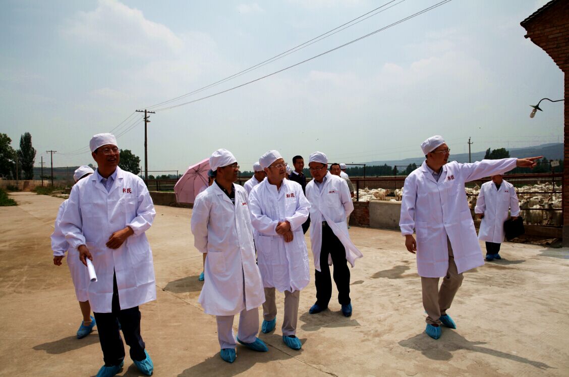 博天堂(918)官方网站 - 让你更精彩