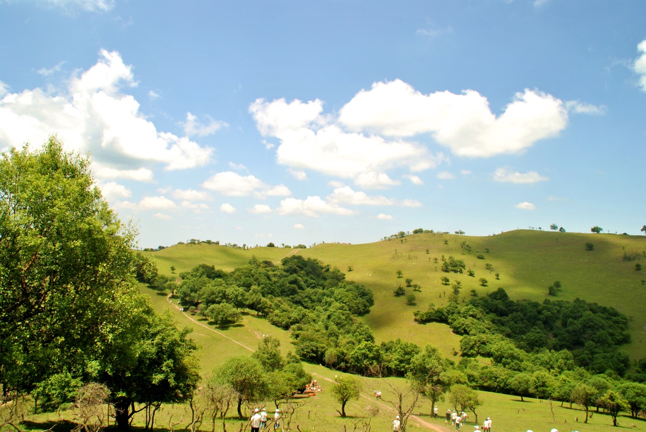 博天堂(918)官方网站 - 让你更精彩