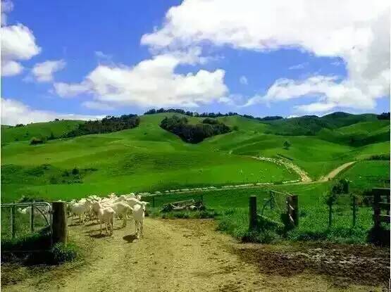 博天堂(918)官方网站 - 让你更精彩